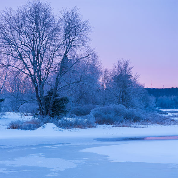 Fujinon GF 100-200mm f/5.6 R LM OIS WR Review: Field Test -- Gallery Image