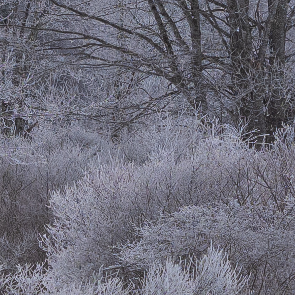 Fujinon GF 100-200mm f/5.6 R LM OIS WR Review: Field Test -- Gallery Image