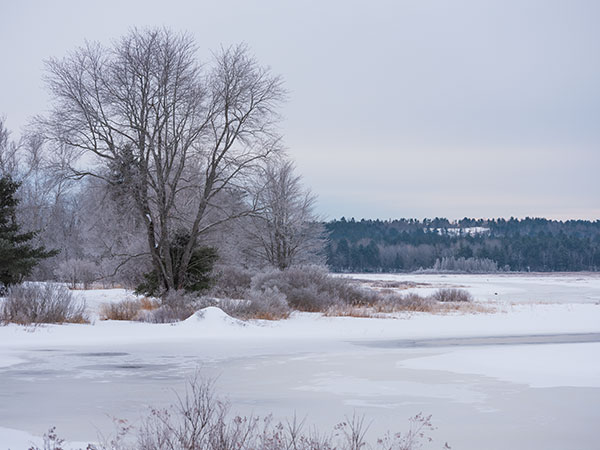 Fujinon GF 100-200mm f/5.6 R LM OIS WR Review: Field Test -- Gallery Image