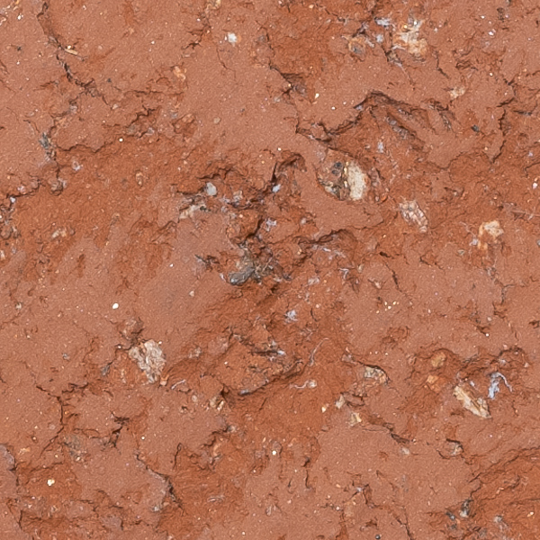 Fujinon GF 100-200mm f/5.6 R LM OIS WR Review: Field Test -- Gallery Image