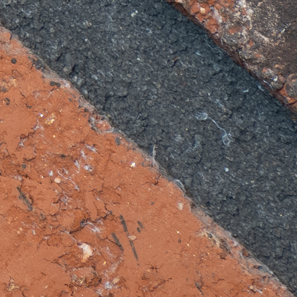 Fujinon GF 100-200mm f/5.6 R LM OIS WR Review: Field Test -- Gallery Image