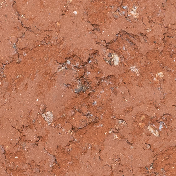 Fujinon GF 100-200mm f/5.6 R LM OIS WR Review: Field Test -- Gallery Image