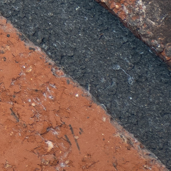 Fujinon GF 100-200mm f/5.6 R LM OIS WR Review: Field Test -- Gallery Image