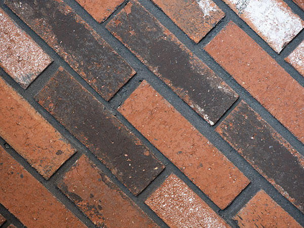 Fujinon GF 100-200mm f/5.6 R LM OIS WR Review: Field Test -- Gallery Image