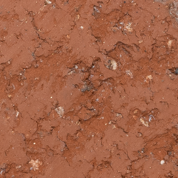 Fujinon GF 100-200mm f/5.6 R LM OIS WR Review: Field Test -- Gallery Image