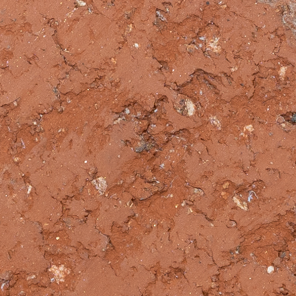 Fujinon GF 100-200mm f/5.6 R LM OIS WR Review: Field Test -- Gallery Image