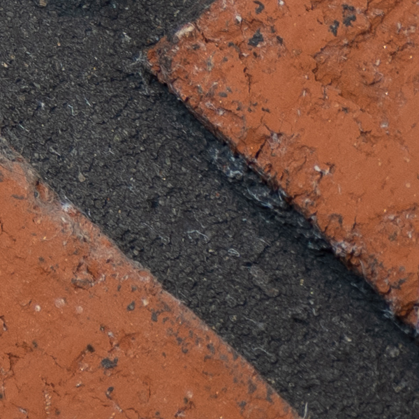 Fujinon GF 100-200mm f/5.6 R LM OIS WR Review: Field Test -- Gallery Image