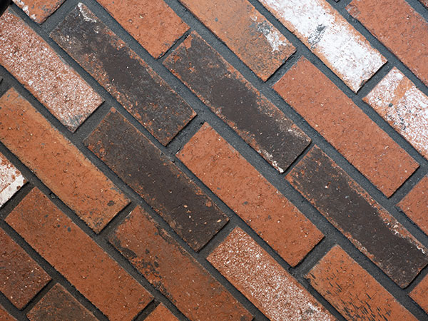 Fujinon GF 100-200mm f/5.6 R LM OIS WR Review: Field Test -- Gallery Image