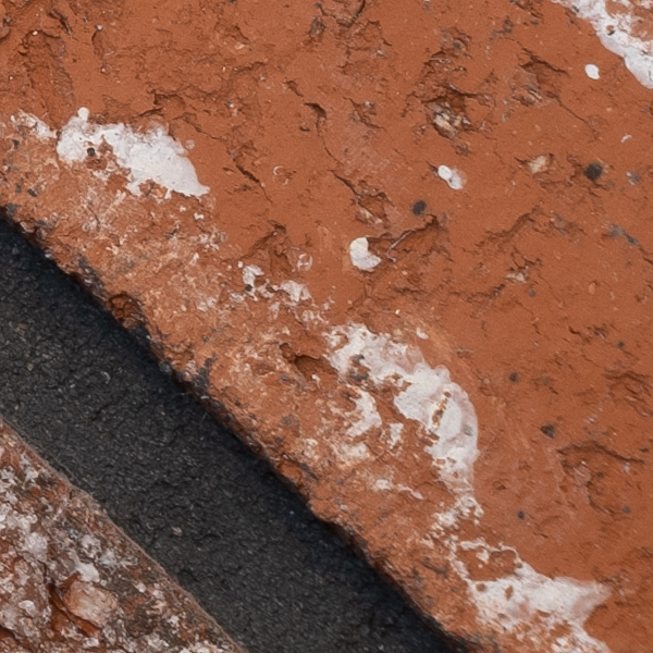 Fujinon GF 100-200mm f/5.6 R LM OIS WR Review: Field Test -- Gallery Image