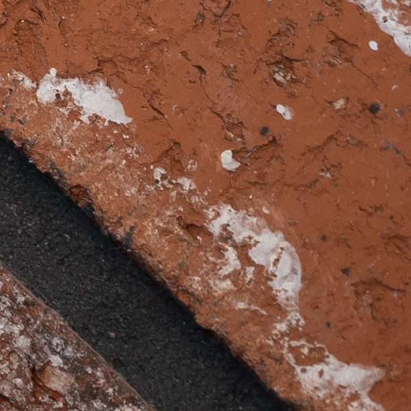 Fujinon GF 100-200mm f/5.6 R LM OIS WR Review: Field Test -- Gallery Image