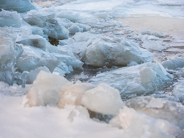 Fujinon GF 100-200mm f/5.6 R LM OIS WR Review: Field Test -- Gallery Image