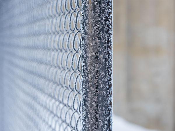 Fujinon GF 100-200mm f/5.6 R LM OIS WR Review: Field Test -- Gallery Image