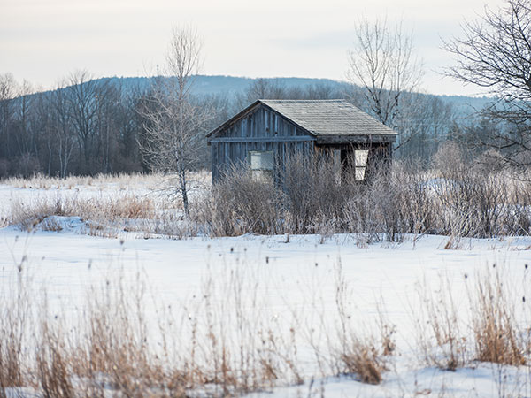 Fujinon GF 100-200mm f/5.6 R LM OIS WR Review: Field Test -- Gallery Image