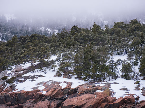 Fujinon GF 100-200mm f/5.6 R LM OIS WR Review: Field Test -- Gallery Image