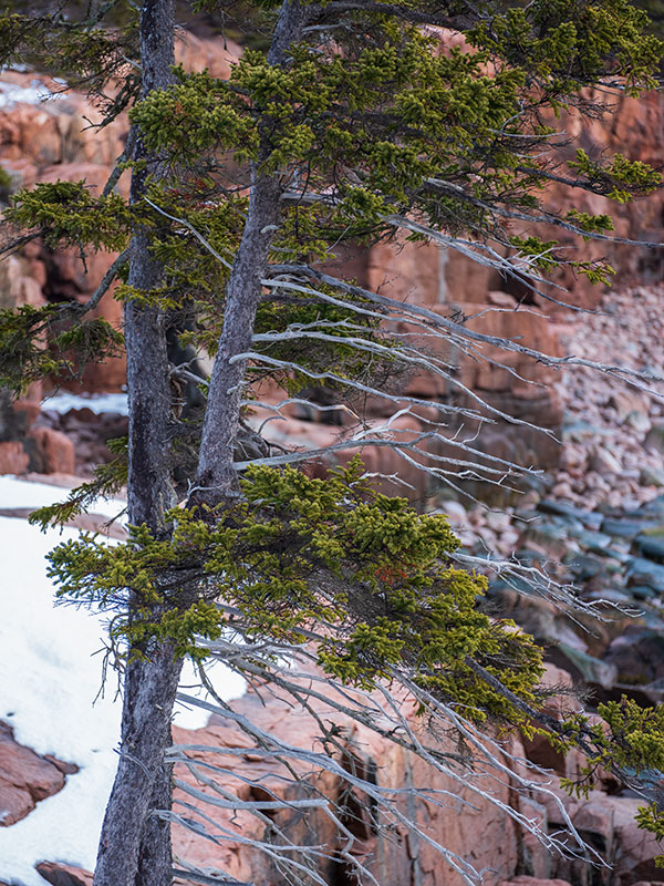 Fujinon GF 100-200mm f/5.6 R LM OIS WR Review: Field Test -- Gallery Image