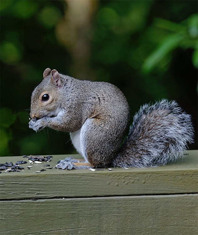 Fuji 100-400mm Review - sample gallery image