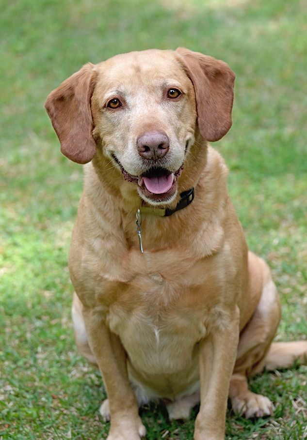 Fuji 100-400mm Review - sample gallery image