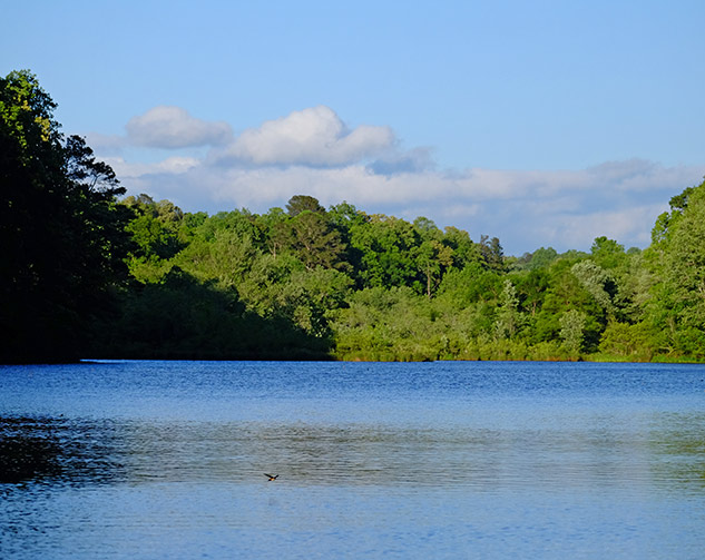 Fuji 100-400mm Review - sample gallery image