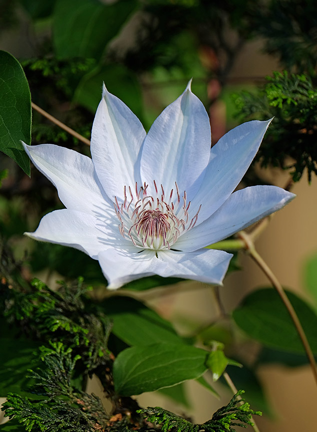 Fuji 100-400mm Review - sample gallery image