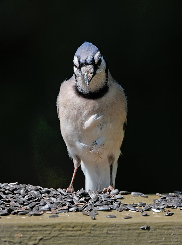 Fuji 100-400mm Review - sample gallery image