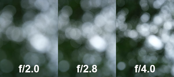 Fujinon GF 110mm f/2 R LM WR Review: Field Test -- Bokeh Test Image