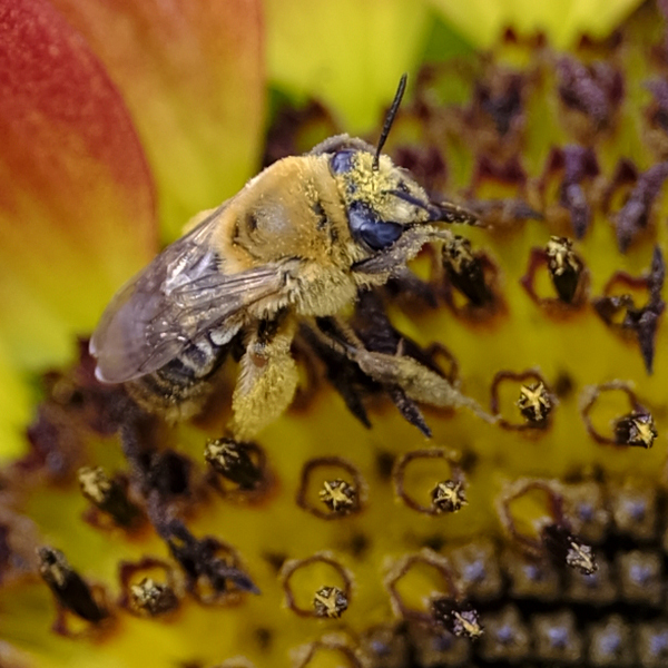 Fujinon GF 110mm f/2 R LM WR Review: Field Test -- Sharpness Test Image