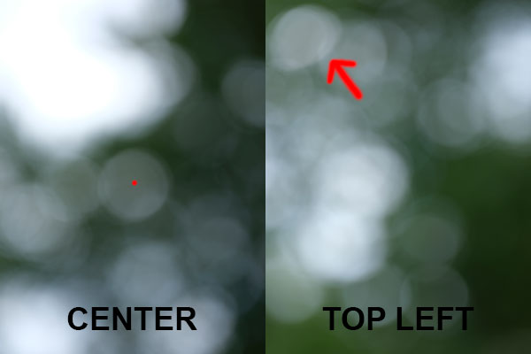 Fujinon GF 110mm f/2 R LM WR Review: Field Test -- Bokeh Test Image