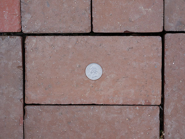 Fujinon GF 110mm f/2 R LM WR Review: Field Test -- Close Focus Test Image