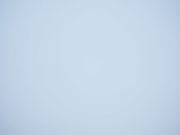 Fujinon GF 110mm f/2 R LM WR Review: Field Test -- Vignette Test Image