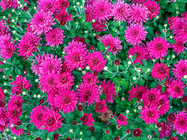 Fujinon GF 110mm f/2 R LM WR Review: Field Test -- Gallery Image