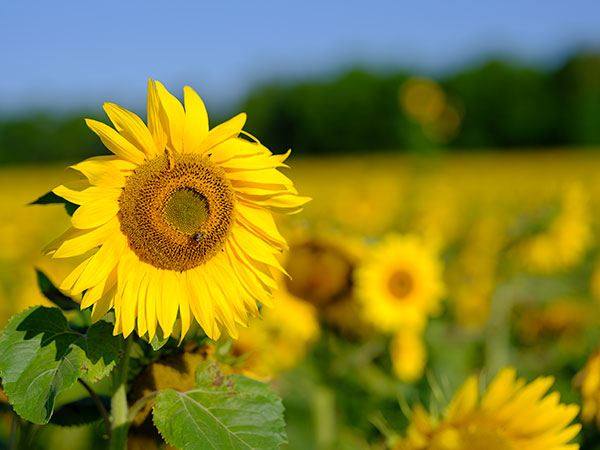 Fujinon GF 110mm f/2 R LM WR Review: Field Test -- Gallery Image