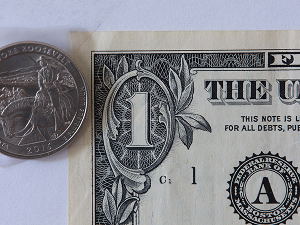 Fujinon GF 120mm f/4 R LM OIS WR Macro Review: Field Test -- Gallery Image