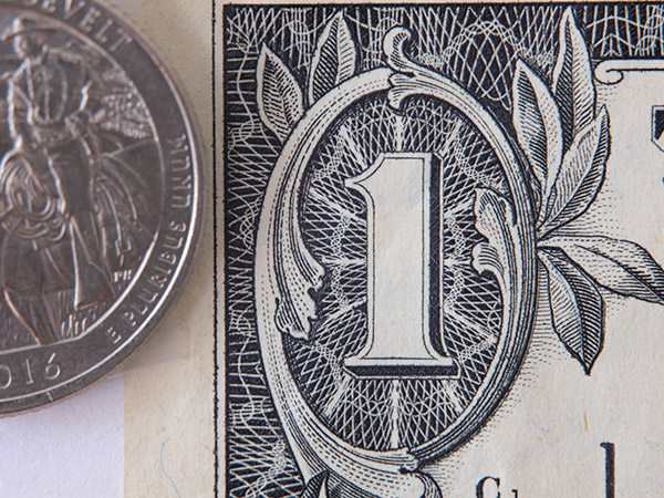 Fujinon GF 120mm f/4 R LM OIS WR Macro Review: Field Test -- Gallery Image