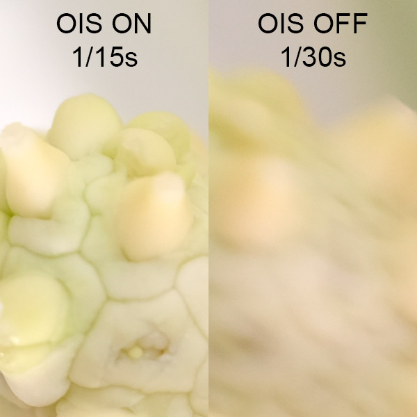 Fujinon GF 120mm f/4 R LM OIS WR Macro Review: Field Test -- Gallery Image