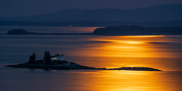 Fujifilm XF 150-600mm F5.6-8 R LM OIS WR Review -- Gallery Image