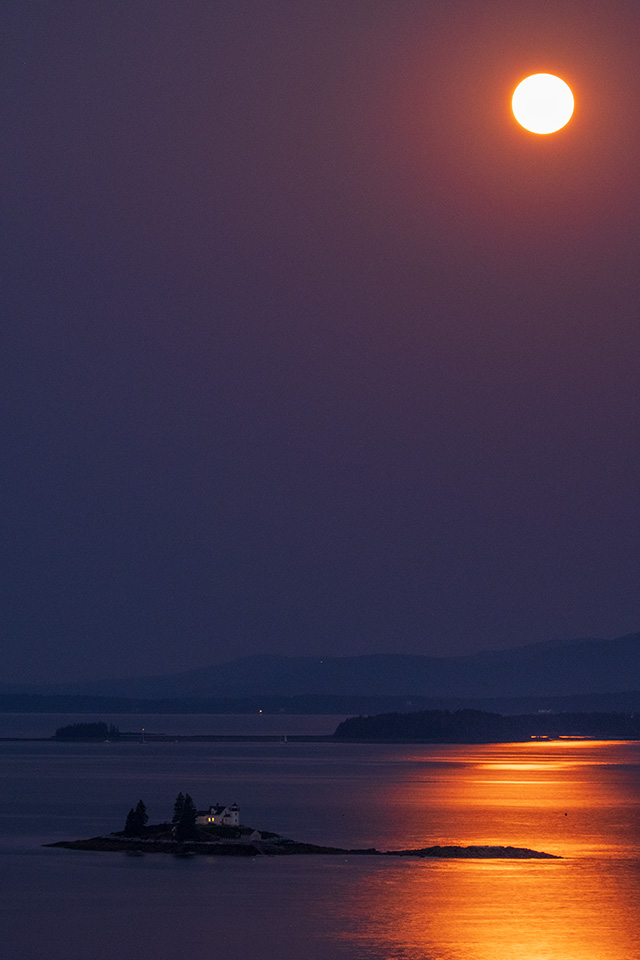 Fujifilm XF 150-600mm F5.6-8 R LM OIS WR Review -- Gallery Image