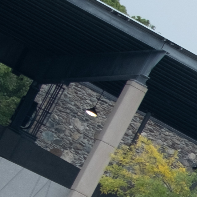 Fujifilm XF 150-600mm F5.6-8 R LM OIS WR Review -- Gallery Image