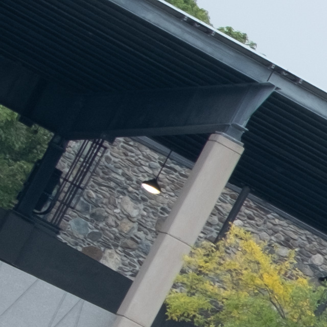 Fujifilm XF 150-600mm F5.6-8 R LM OIS WR Review -- Gallery Image