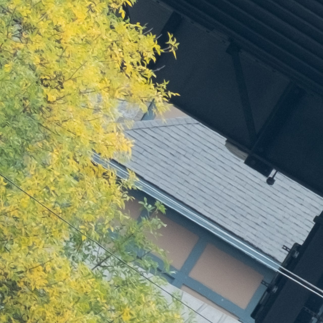 Fujifilm XF 150-600mm F5.6-8 R LM OIS WR Review -- Gallery Image