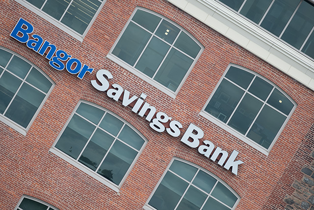 Fujifilm XF 150-600mm F5.6-8 R LM OIS WR Review -- Gallery Image