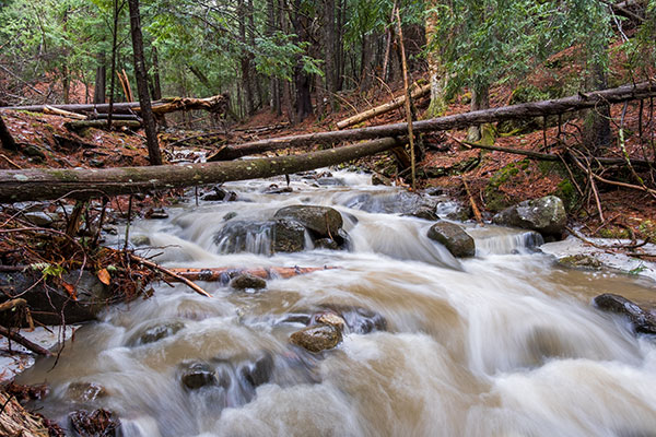 Fujifilm XF 16mm f/2.8 R WR Review: Field Test -- Gallery Image