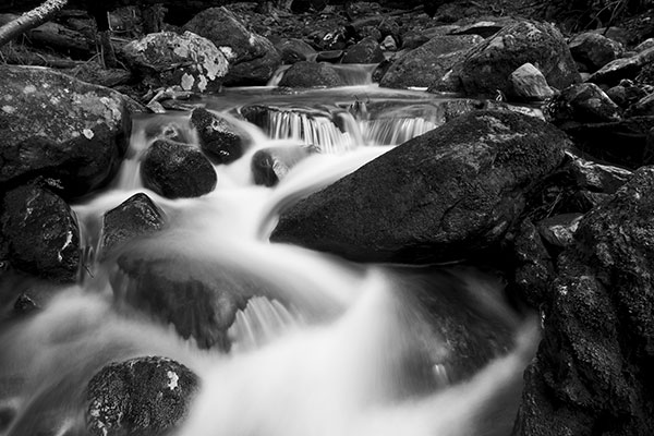 Fujifilm XF 16mm f/2.8 R WR Review: Field Test -- Gallery Image