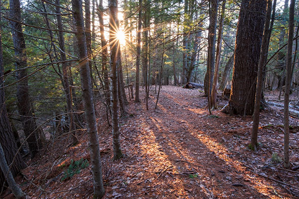 Fujifilm XF 16mm f/2.8 R WR Review: Field Test -- Gallery Image