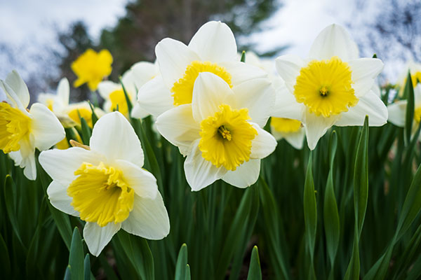 Fujifilm XF 16mm f/2.8 R WR Review: Field Test -- Gallery Image