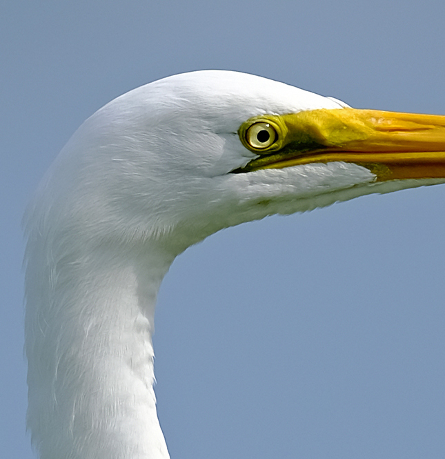 Fuji X-T3 + 200mm f/2 Sample Image