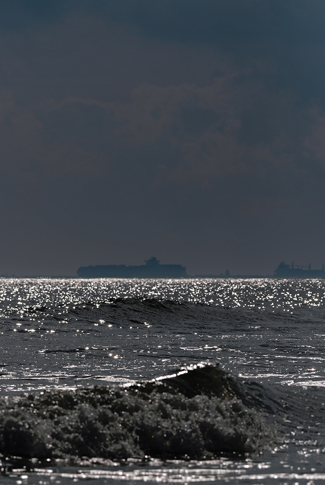 Fuji X-T3 + 200mm f/2 Sample Image