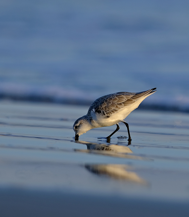 Fuji X-T3 + 200mm f/2 Sample Image