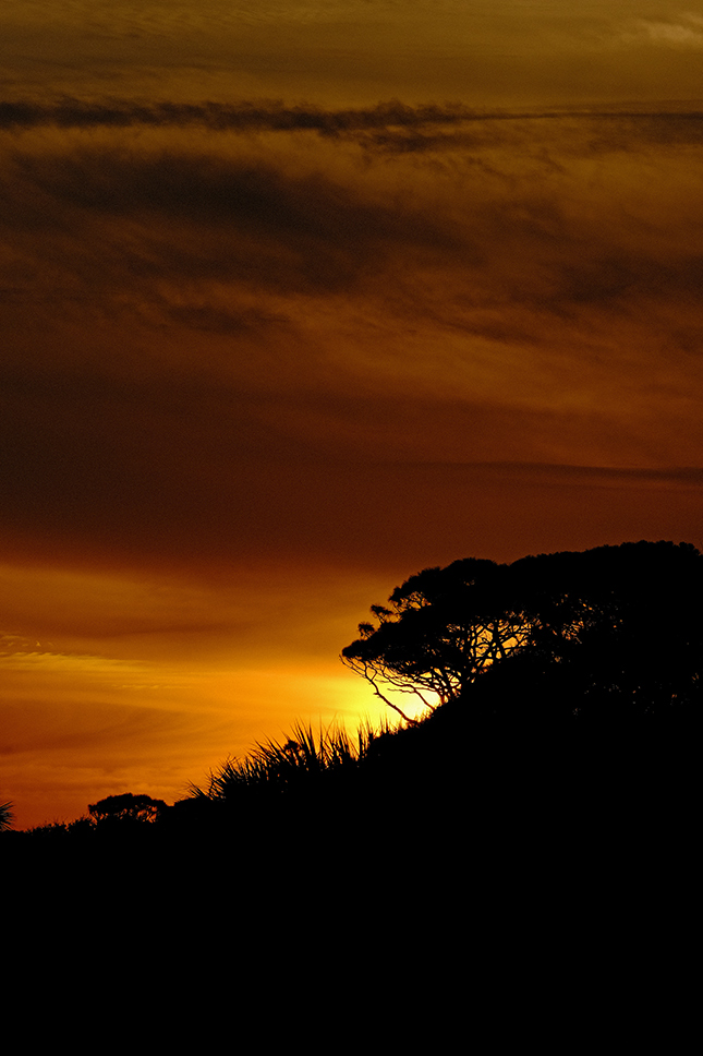 Fuji X-T3 + 200mm f/2 Sample Image