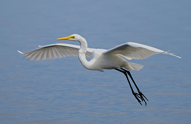 Fuji X-T3 + 200mm f/2 Sample Image