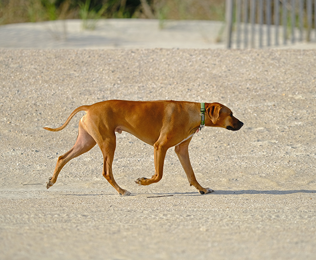Fuji X-T3 + 200mm f/2 Sample Image